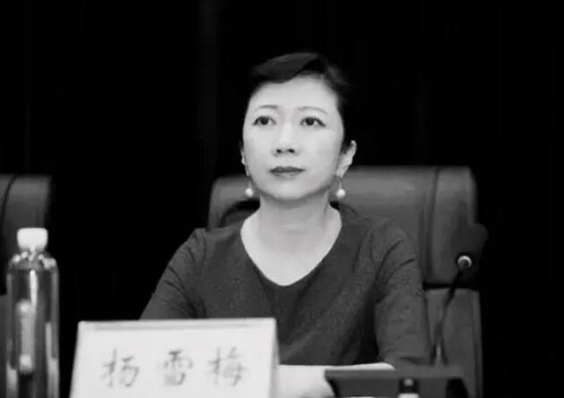 河南一高校校長突發(fā)心臟病去世
